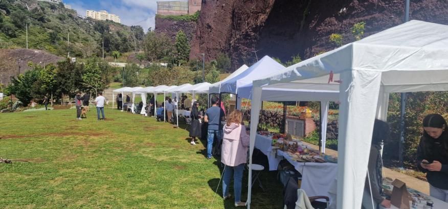 Decorreu o 1º evento da III Edição do Caniço Local Market 2025