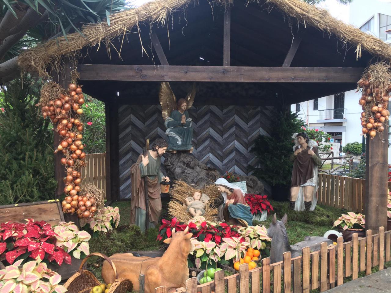 B&ecirc;n&ccedil;&atilde;o do Pres&eacute;pio no Cani&ccedil;o