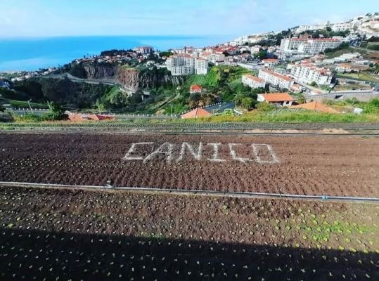 Comemorações do XX Aniversário da Elevação do Caniço a Cidade