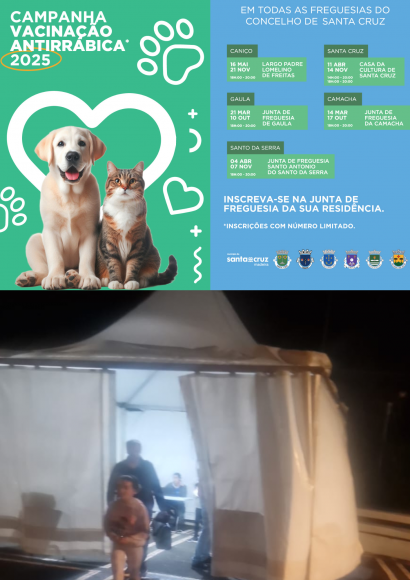 Concluída a Campanha de vacinação animal 2025