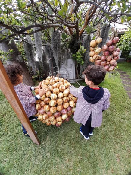 Festa da Cebola 2026 - Preparativos