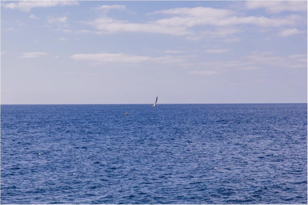 XXIV Regata